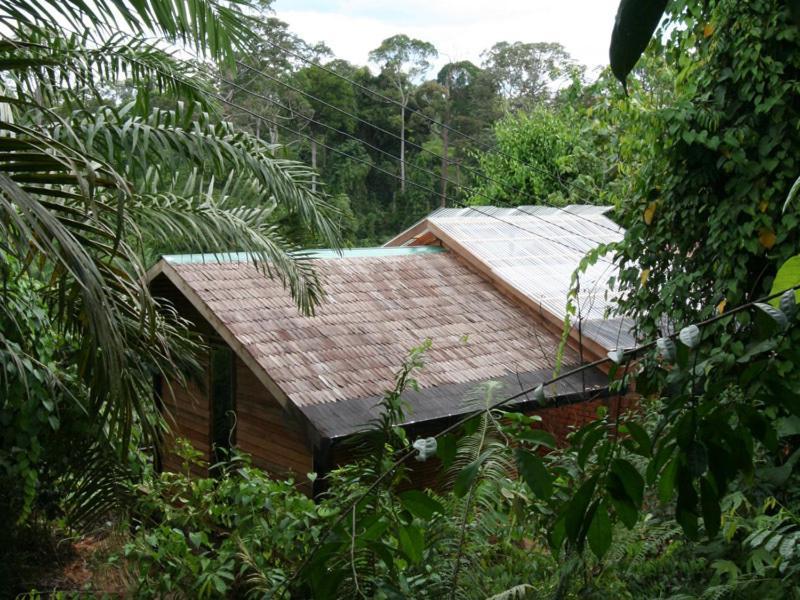 Paganakan Dii Tropical Retreat Sepilok Kültér fotó