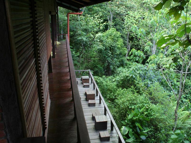 Paganakan Dii Tropical Retreat Sepilok Kültér fotó