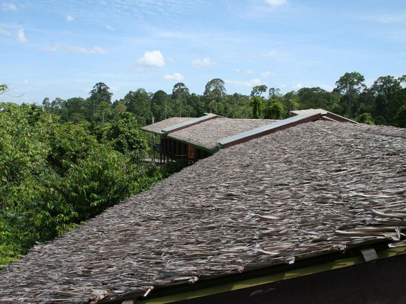 Paganakan Dii Tropical Retreat Sepilok Szoba fotó