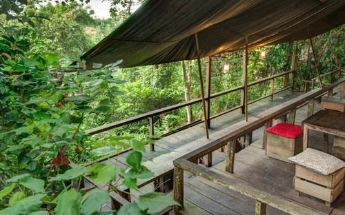 Paganakan Dii Tropical Retreat Sepilok Kültér fotó