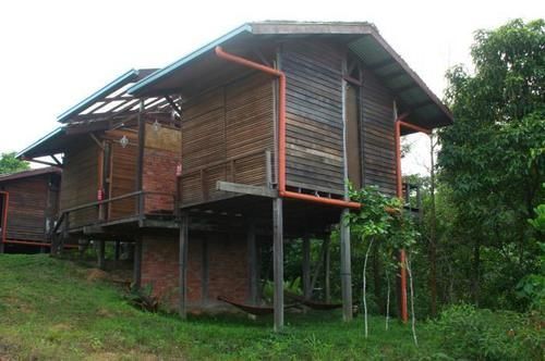 Paganakan Dii Tropical Retreat Sepilok Kültér fotó