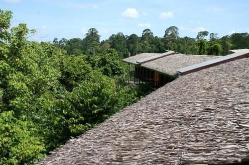 Paganakan Dii Tropical Retreat Sepilok Kültér fotó