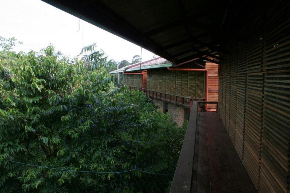 Paganakan Dii Tropical Retreat Sepilok Kültér fotó
