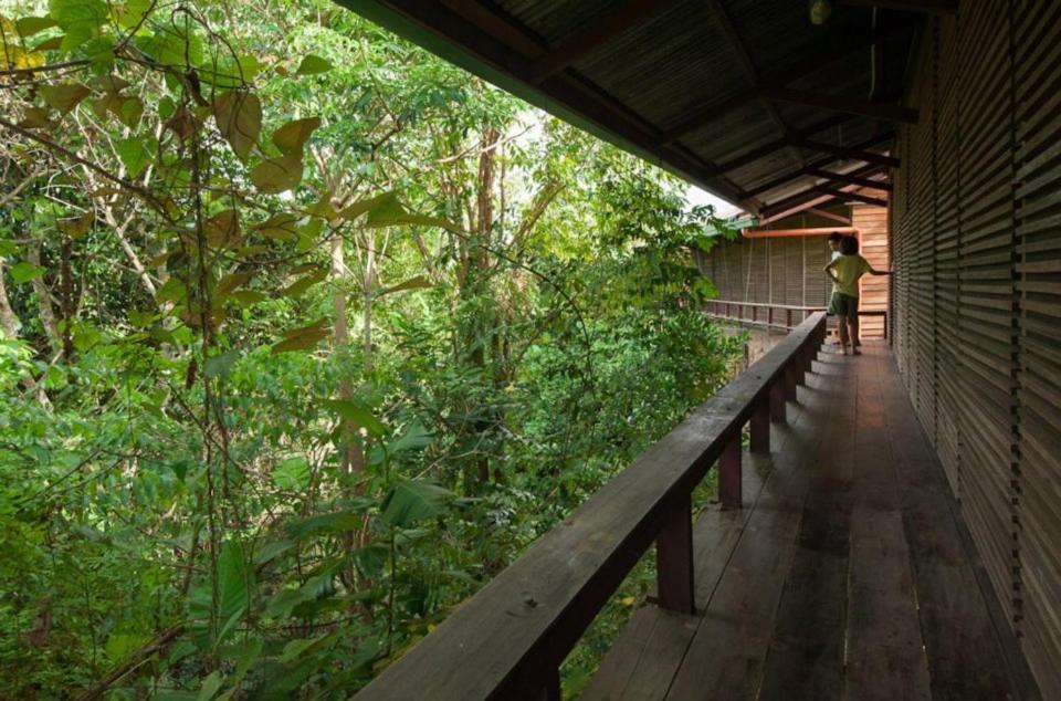 Paganakan Dii Tropical Retreat Sepilok Kültér fotó
