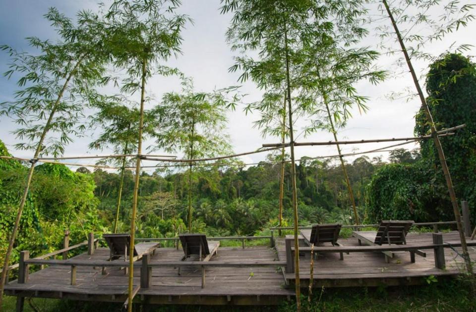 Paganakan Dii Tropical Retreat Sepilok Kültér fotó